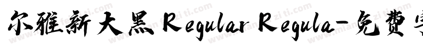 尔雅新大黑 Regular Regula字体转换